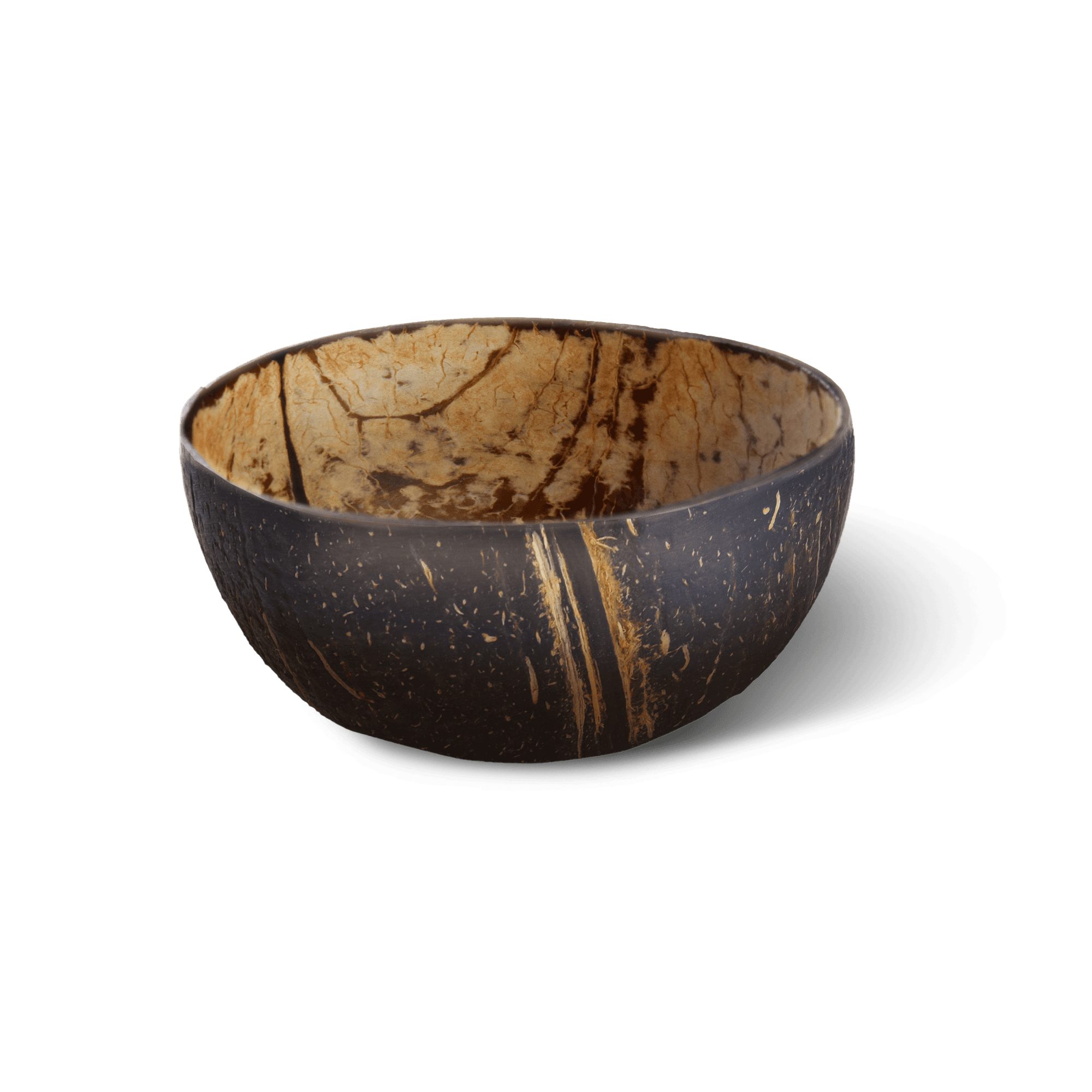 Coconut Shell