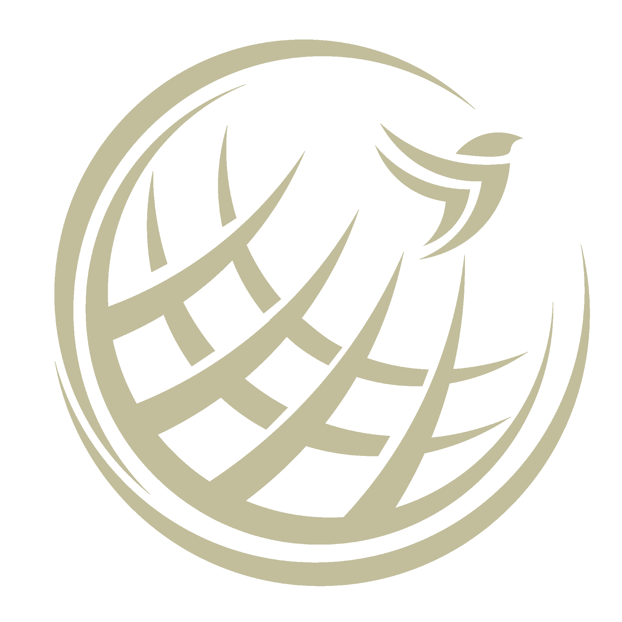 Sasi International