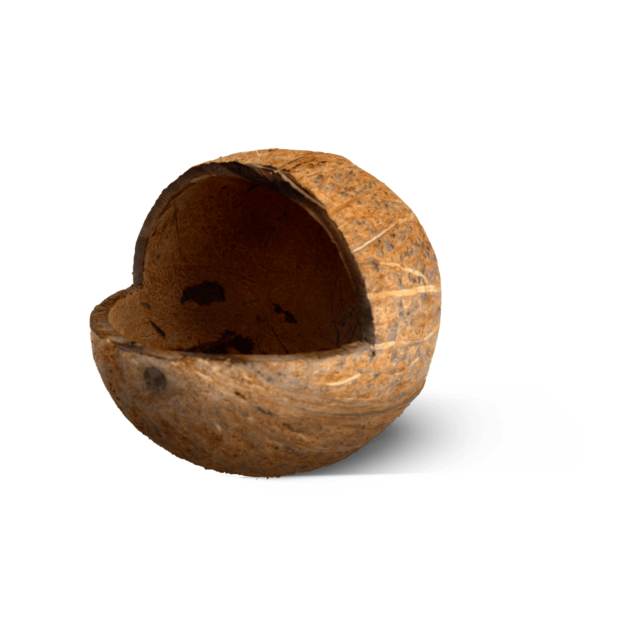 CocoFeast